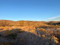 IMG_9153.jpeg