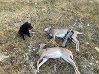 IMG_3908.jpeg