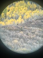 IMG_8242.jpeg