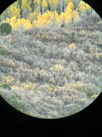 IMG_8239.jpeg