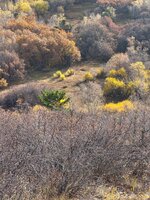 IMG_1916.jpeg
