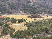 IMG_1930.jpeg