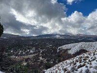 IMG_8528.jpeg