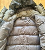 IMG_5949.jpeg IMG_5949.jpeg