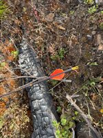 IMG_6994.jpeg