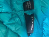 IMG_8953.jpeg