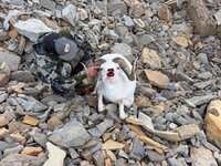 IMG_5008.jpeg