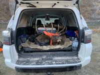 IMG_1686.jpeg