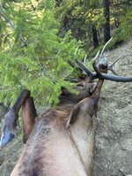 IMG_6732.jpeg
