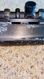 IMG_4925.jpeg
