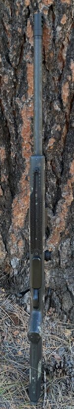 IMG_7272.jpg