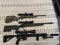 IMG_4614.jpeg IMG_4614.jpeg