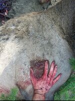 IMG_6734.jpeg