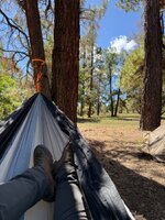 IMG_0802.jpeg