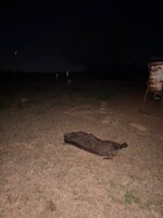 IMG_9795.jpeg