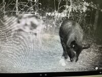 IMG_3863.jpeg