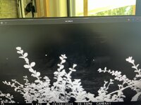 IMG_3864.jpeg