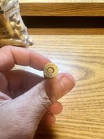 IMG_8212.jpeg