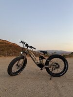 IMG_7533.jpeg