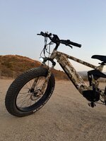 IMG_7534.jpeg