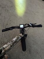 IMG_7538.jpeg