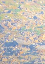 IMG_2586.jpeg