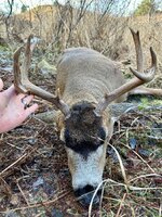 IMG_0640.jpeg