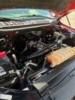 IMG_2431.jpeg