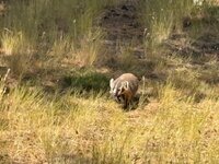 IMG_8681.jpeg