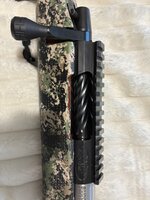 IMG_8532.jpeg