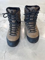 IMG_2585.jpeg