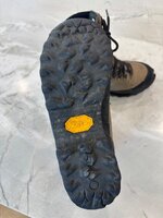 IMG_2584.jpeg