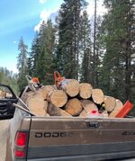 IMG_1393.jpeg