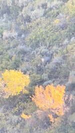 IMG_0407.jpeg