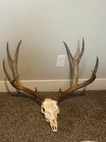 IMG_0408.jpeg