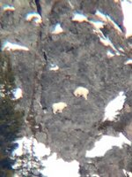 IMG_1592.jpeg