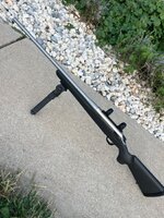 IMG_8029.jpeg