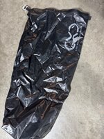 IMG_2925.jpeg