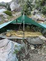 IMG_4701.jpeg