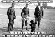 Cornell Bear Meme.jpg