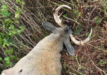 IMG_8282.jpeg