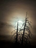 PXL_20250910_025452562.NIGHT.RAW-01.COVER.jpg