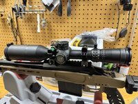 IMG_8142.jpeg