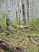 20250913_155717.jpg