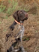 IMG_0370.jpeg
