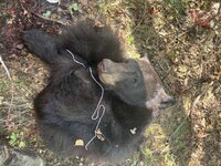 IMG_2886.jpeg