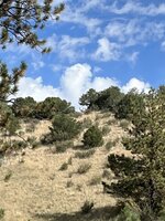 IMG_2095.jpeg