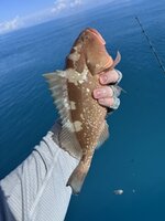 IMG_9147.jpeg