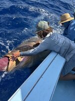 IMG_2350.jpeg