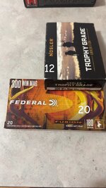 IMG_0020.jpeg